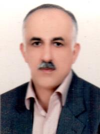 دکتر محمدرضا درویش پور