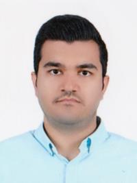 دکتر مهرزاد سلوکی