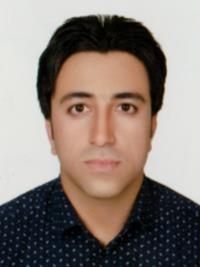 دکتر حیدر ویسی
