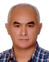 دکتر نادر انوشه