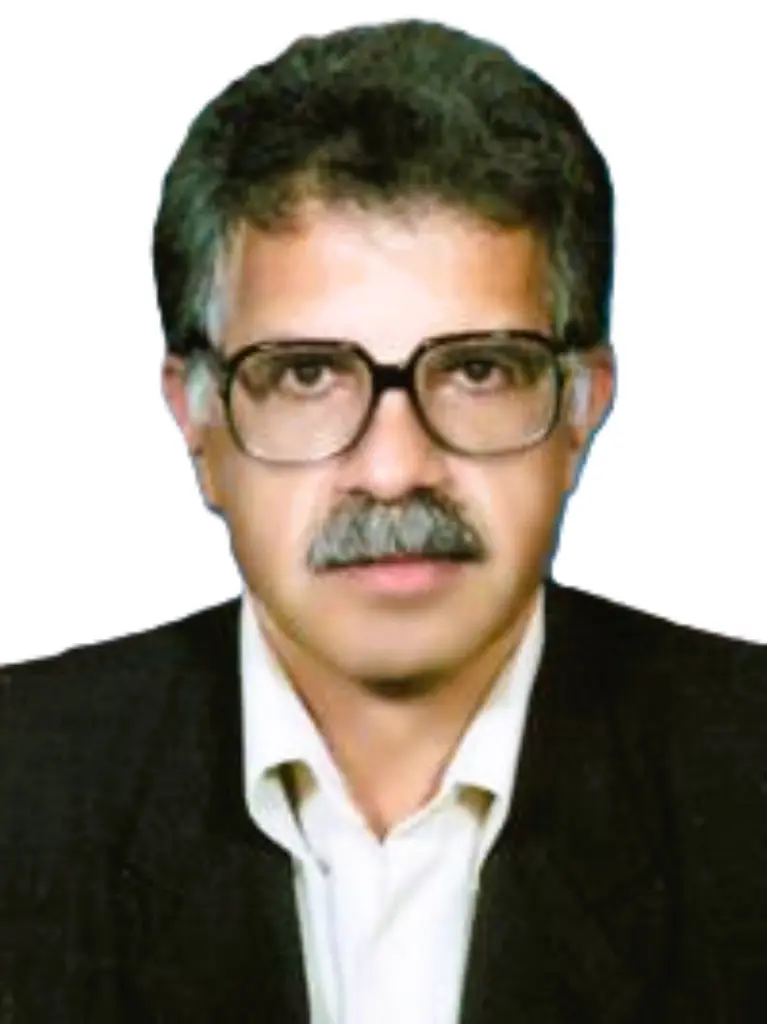 دکتر میرحمید ربانی شبستری