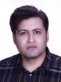 دکتر سیدمرتضی هاشمی زاده
