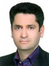 دکتر سیدمجتبی هاشمی