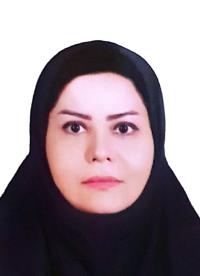 دکتر طیبه لک زائی