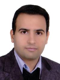 دکتر مجتبی مخبردزفولی
