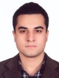 دکتر مرتضی مینا